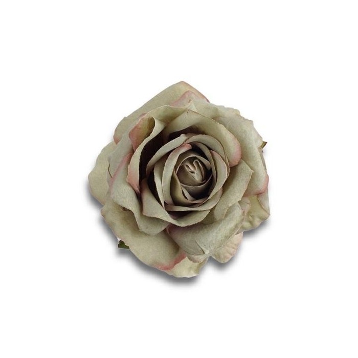 ROSA GREEN STELO CM10XD13